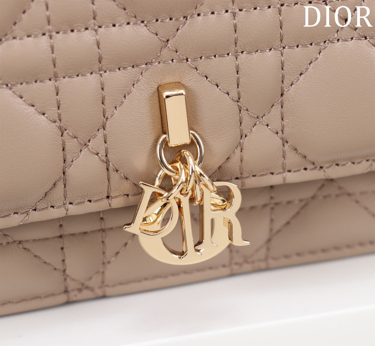 my cd mini 21 sand lambskin