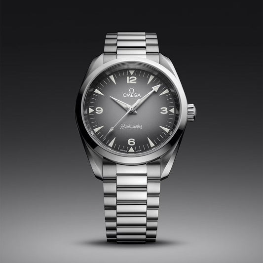 Seamaster Railmaster 38mm - Grey on Bracelet
