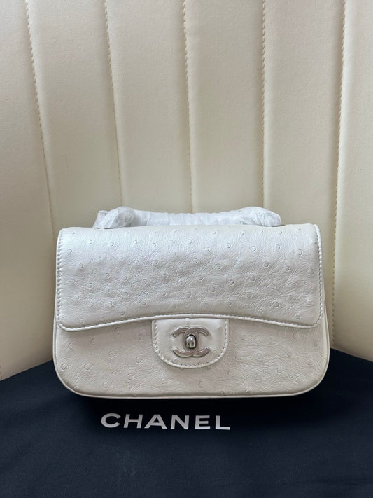 Chanel 2026 Flap Ostrich Embossed Bag 20cm Leather
