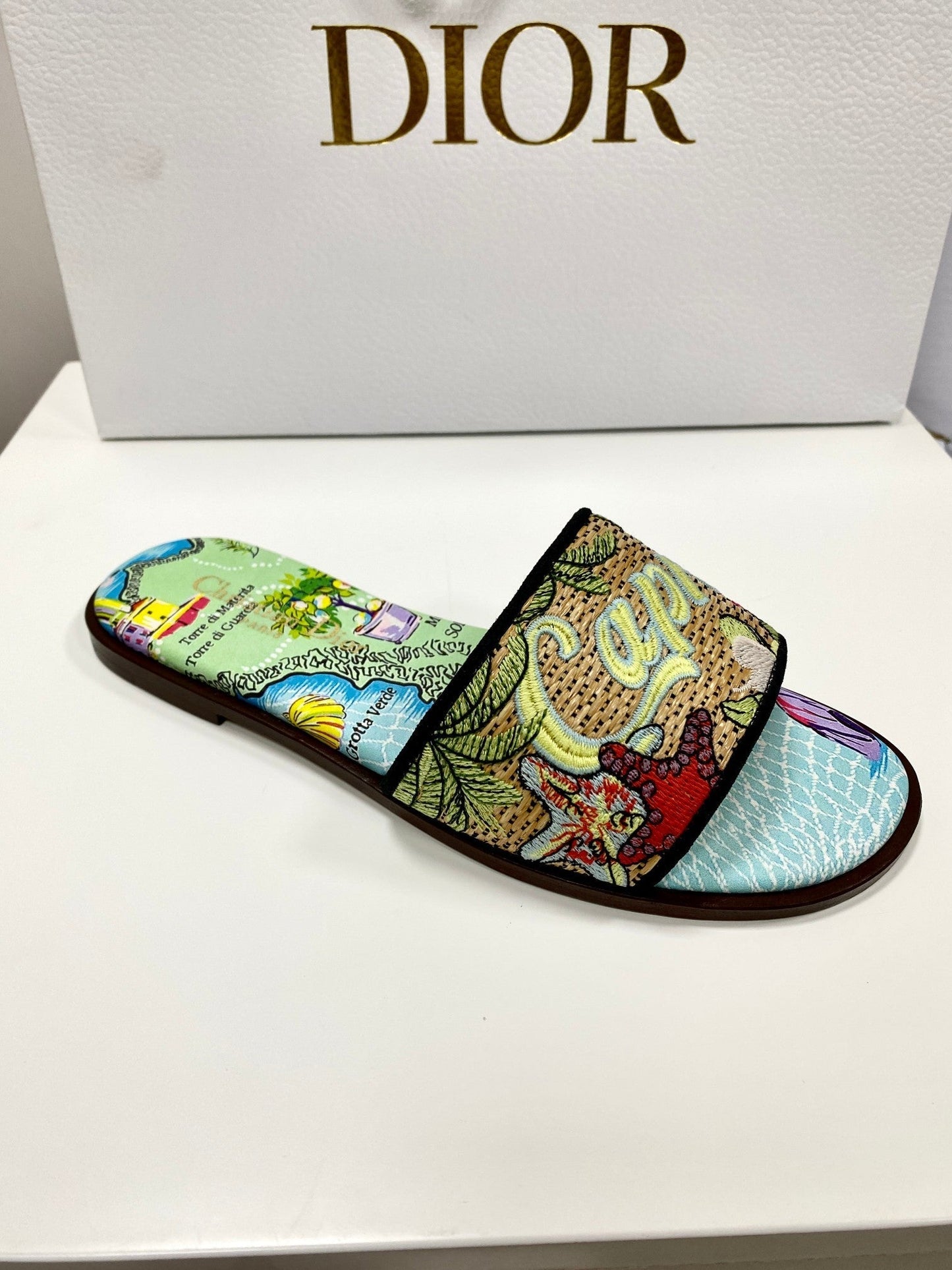 CD 26s Embroidered Sandals Blue Green Multicolor Canvas Leather 683008