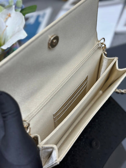 CD My Mini Bag Metallic 21cm Leather Crystal 160823