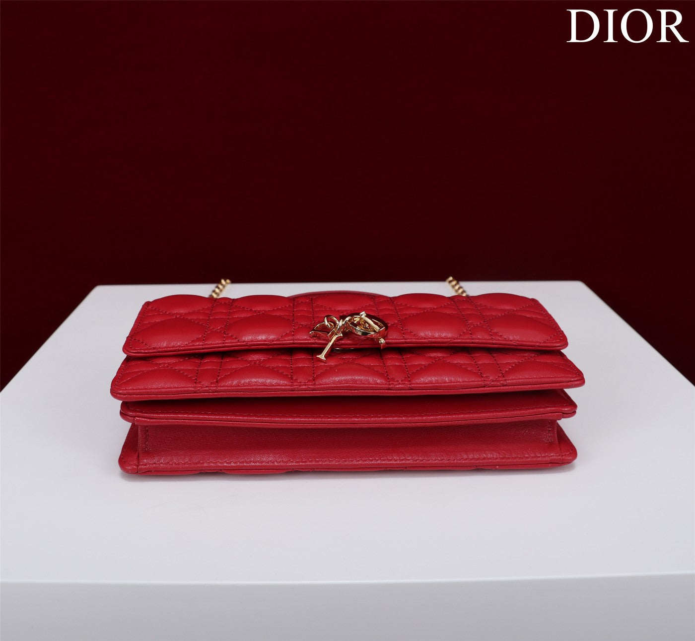 my cd mini 21 red lambskin