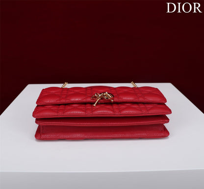 my cd mini 21 red lambskin