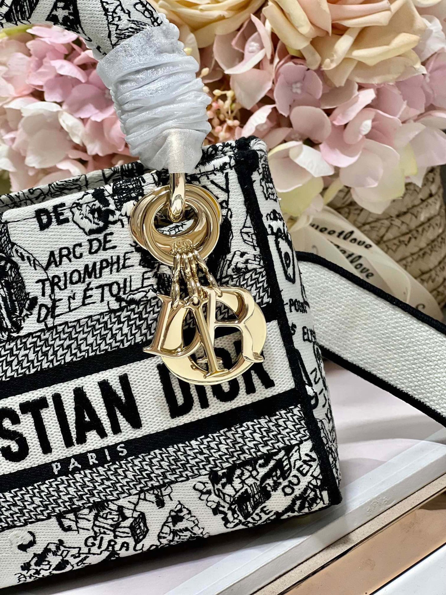 CD Paris White 17 Lady Dior Bag Canvas 336756