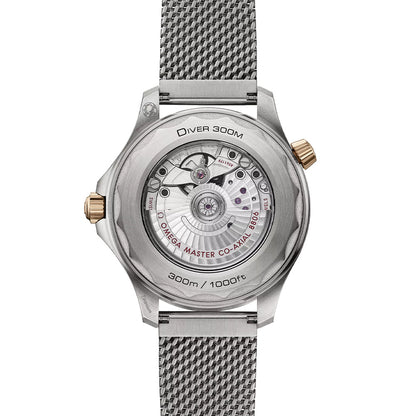 Seamaster Diver 300M Titanium and Bronze Gold 42mm - Green on Bracelet