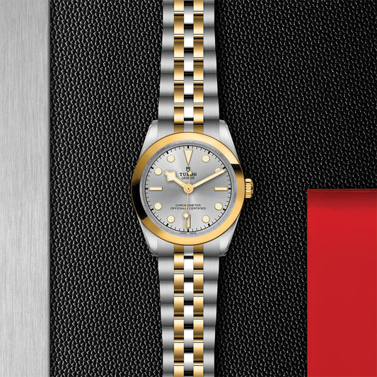 Black Bay One S&G 31mm - Silver on Bracelet
