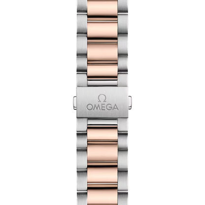 Seamaster Aqua Terra 150M Steel and Sedna™ Gold 38mm - Grey on Bracelet