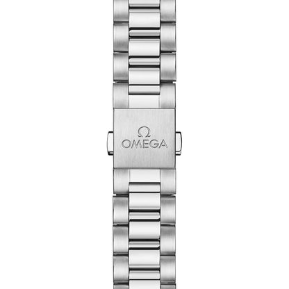 Seamaster Railmaster 38mm - Brown on Bracelet