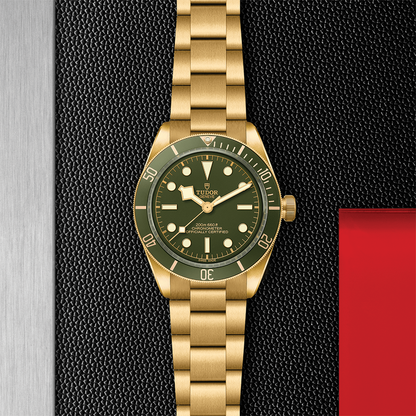 Black Bay 58 18K Yellow-Gold 39mm - Green on Bracelet