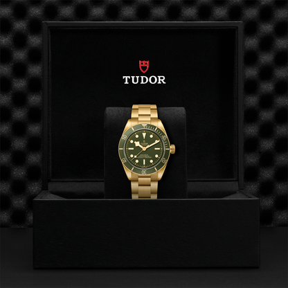 Black Bay 58 18K Yellow-Gold 39mm - Green on Bracelet