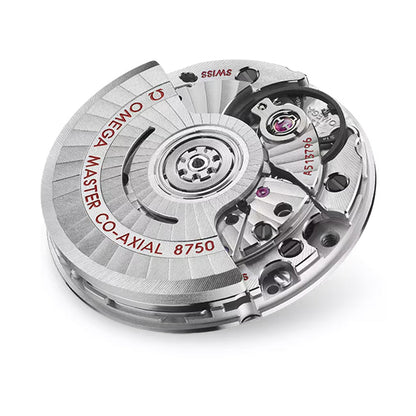 Seamaster Aqua Terra 150M 30mm - Purple on Bracelet
