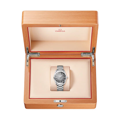 Seamaster Railmaster 38mm - Grey on Bracelet