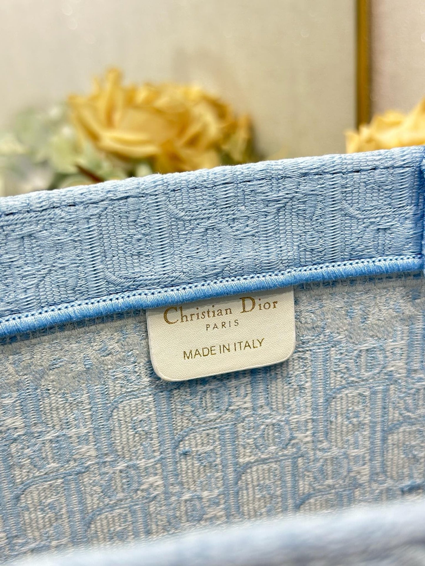CD Book Tote Blue White in Canvas