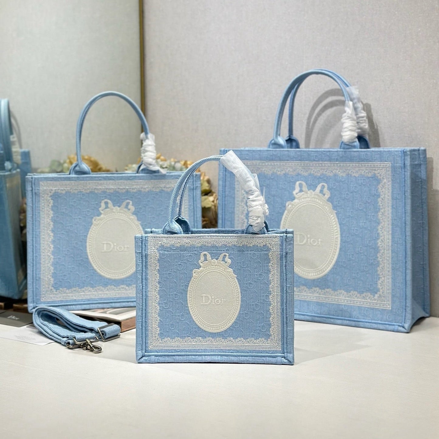 CD Book Tote Blue White in Canvas