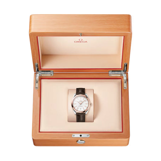 Seamaster Aqua Terra 150M Steel and Sedna™ Gold 41mm - Silver on Leather Strap