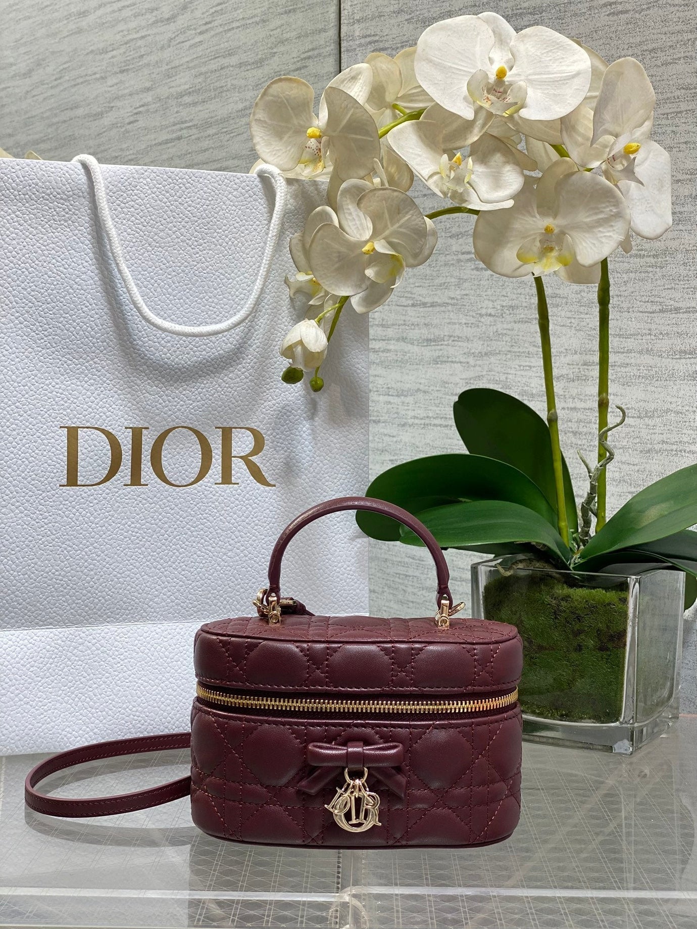CD 2026 Vanity Bag 17.5cm Cannage Lambskin 289248