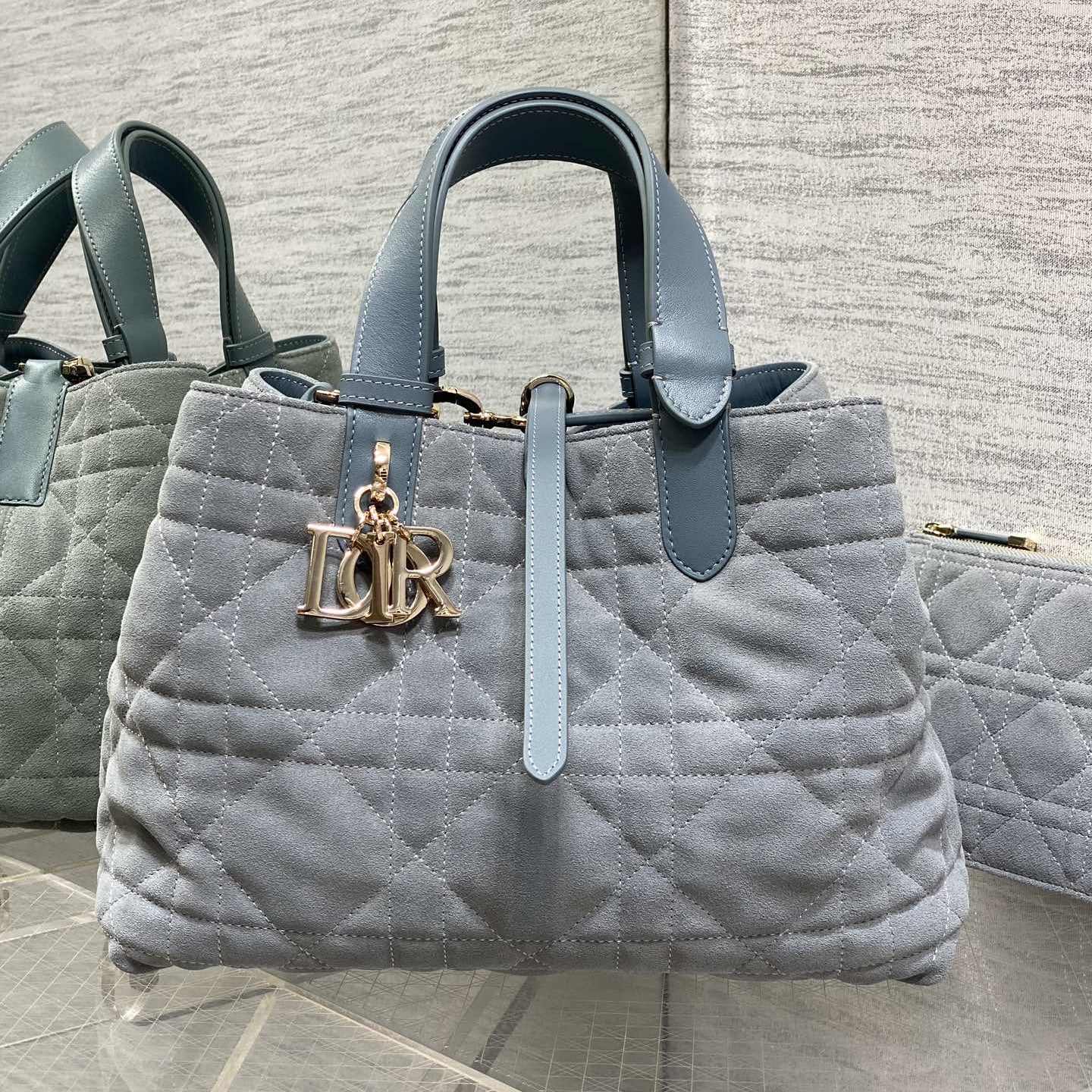 CD 2026 Toujours Bag Blue Grey Suede Leather 286497