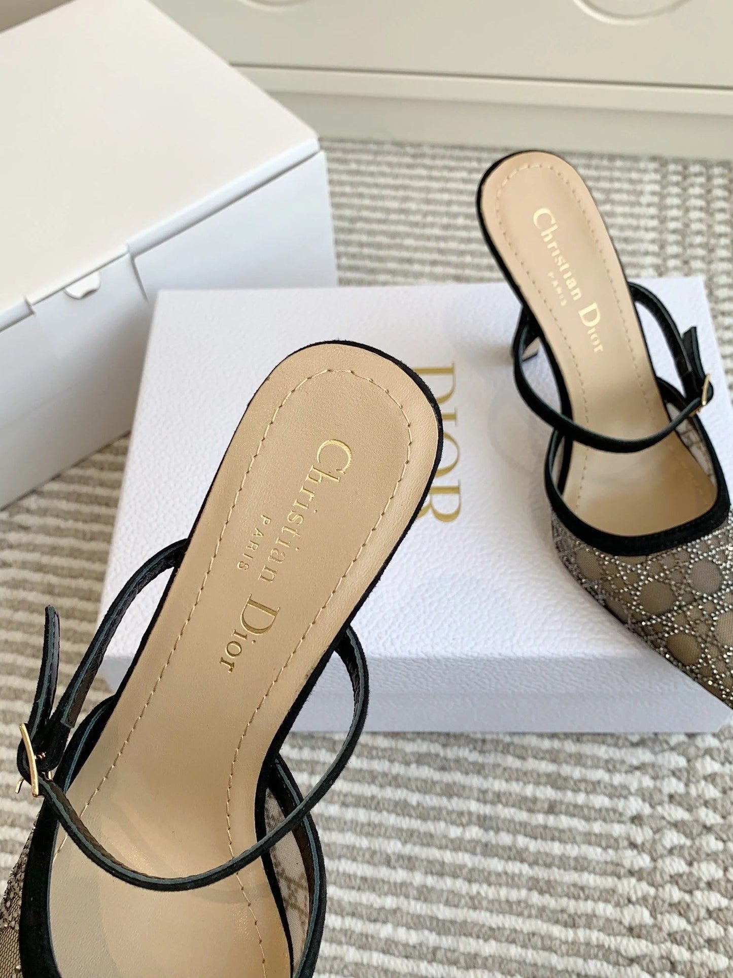 Dior 2026 Capture Heeled Mule 100mm Mesh 884749