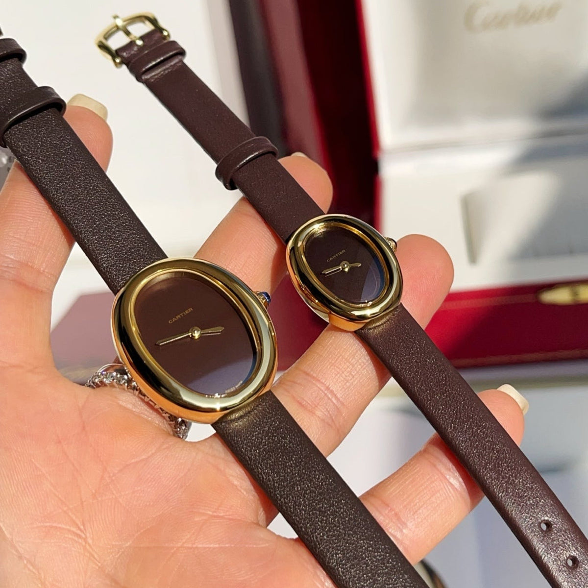 Baignoire Gold Case Burgundy Leather Burgundy Dial