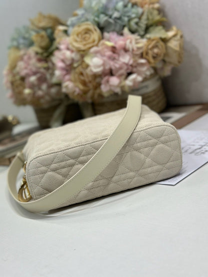 Dior 2026 Toujours Hobo 27cm Suede