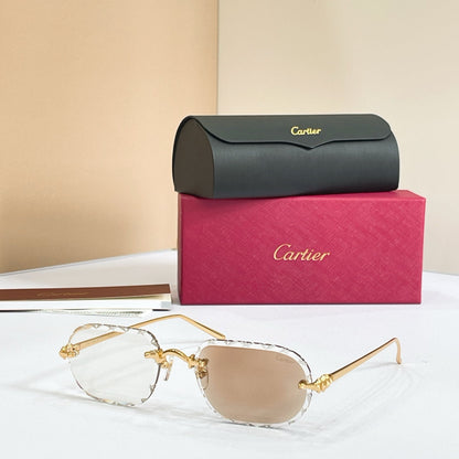 Cartier Optical Frames CT0682O